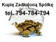 Zobacz og�oszenie